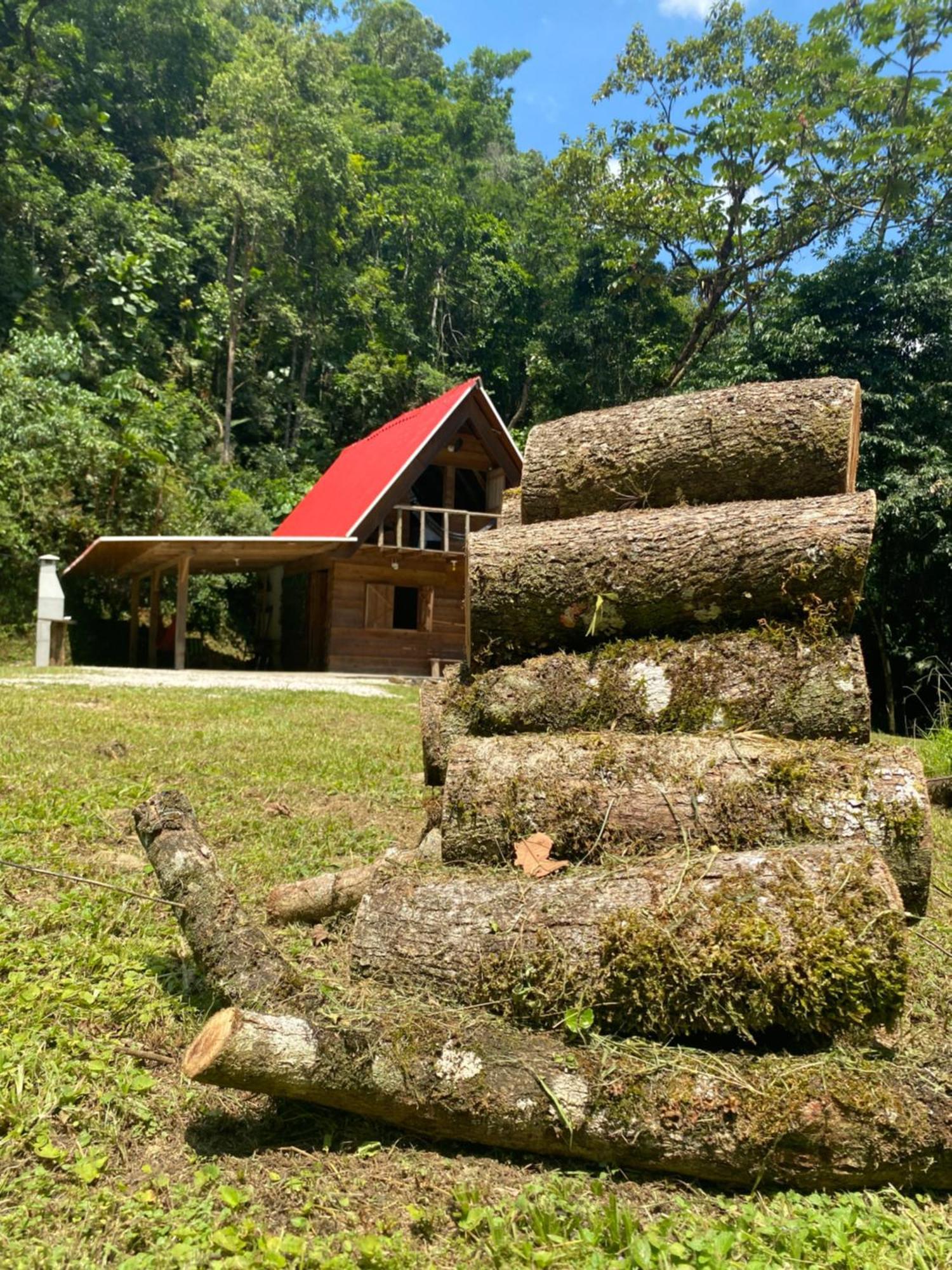 Chale Em Meio A Natureza! Guabiruba Eksteriør billede