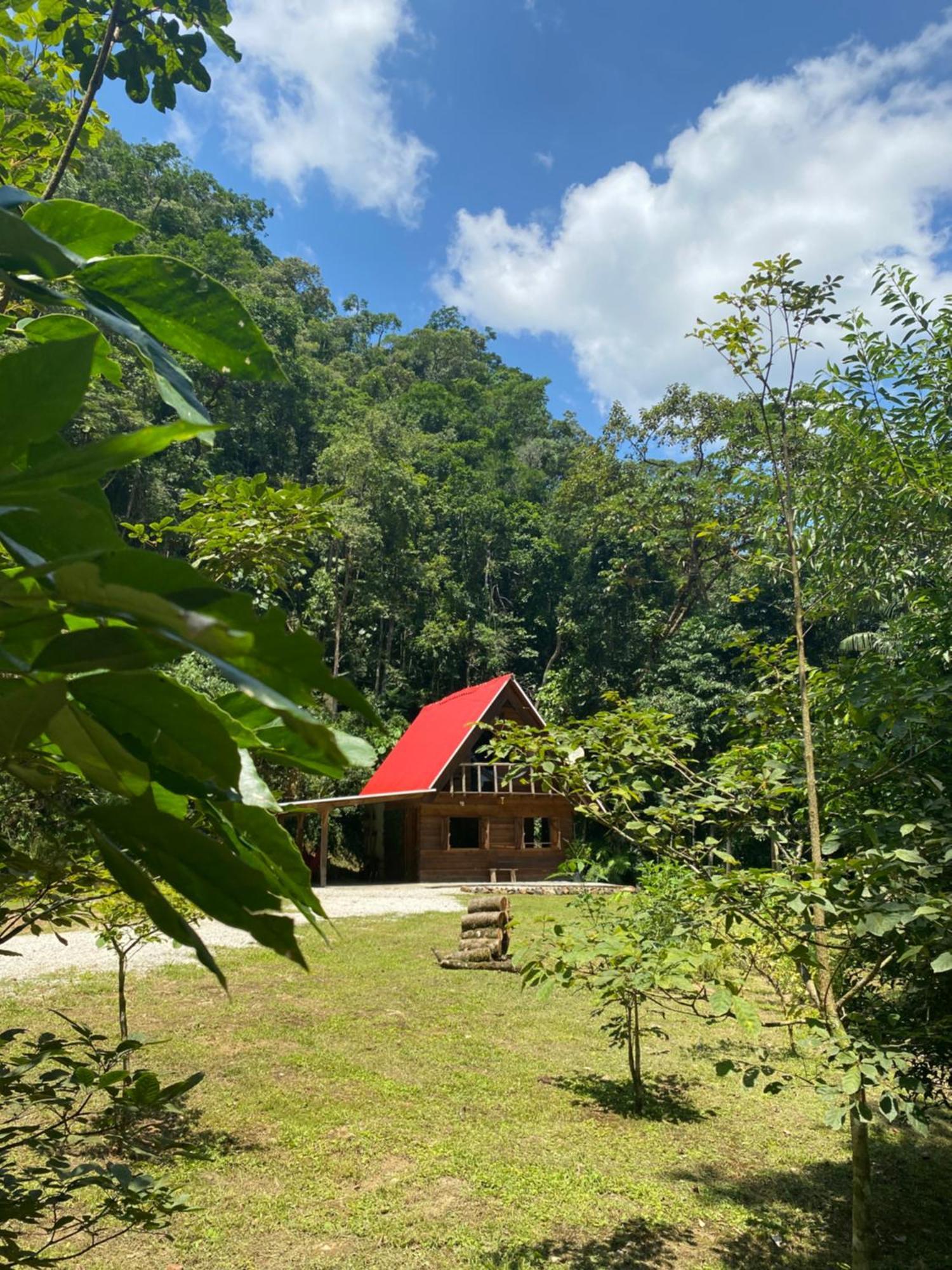 Chale Em Meio A Natureza! Guabiruba Eksteriør billede
